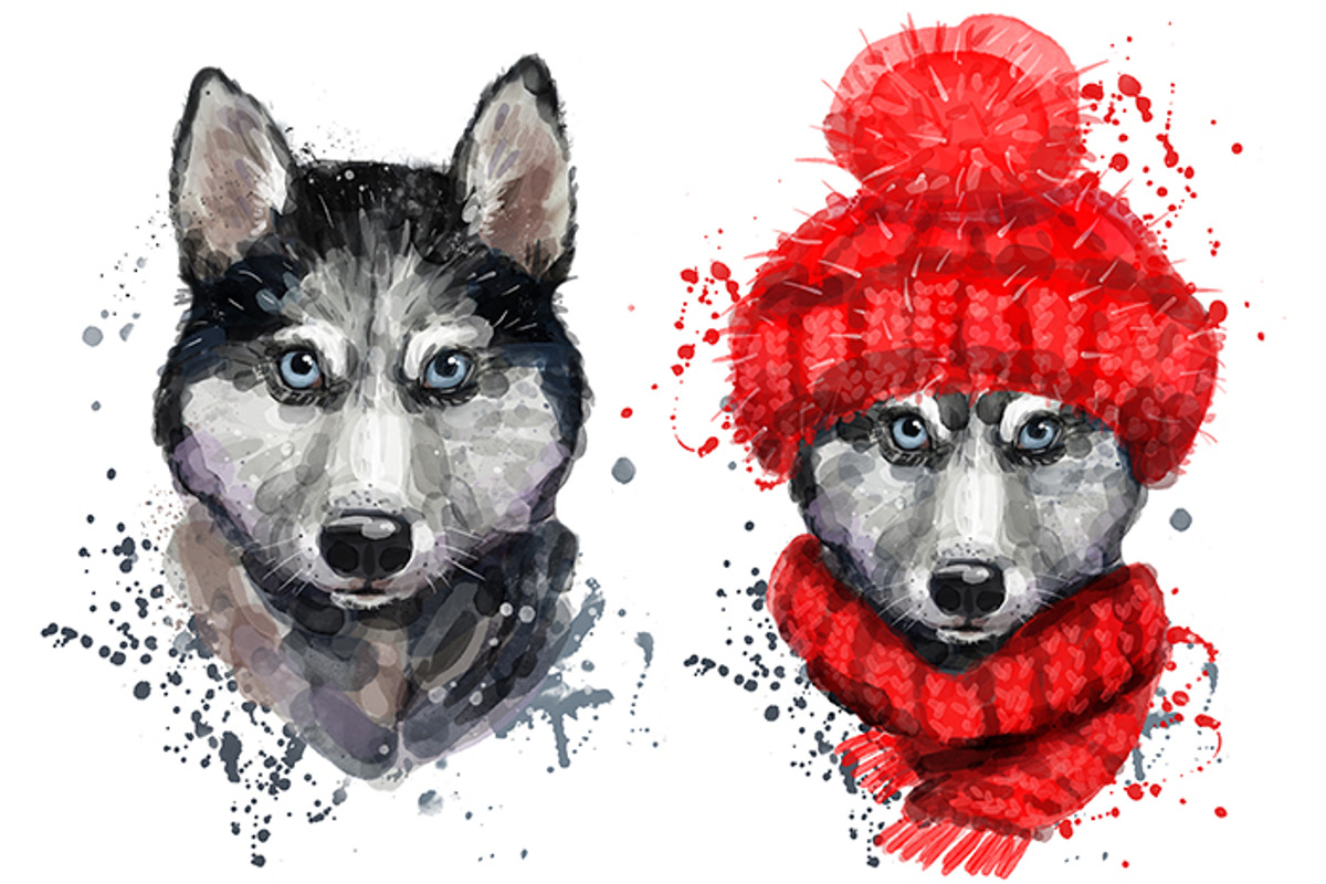 Digital watercolor cute husky, an Animal Illustration by art_mouse (Photo 2 of 6)