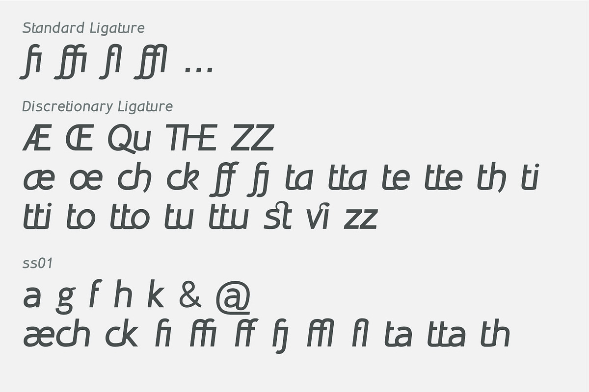 Inprimis Bold Italic preview 5