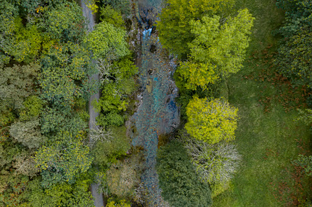 River aerial view