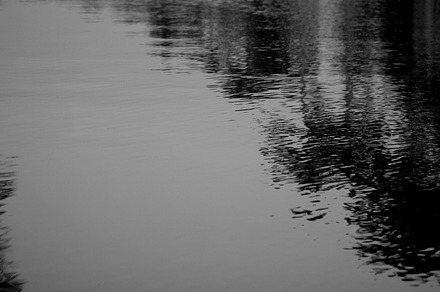 A Canal In Florida preview 6