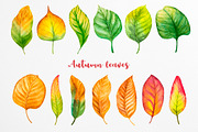 Fall collection. Watercolor., a Decorative Illustration by AlexGreenArt (Thumbnail 2 of 11)