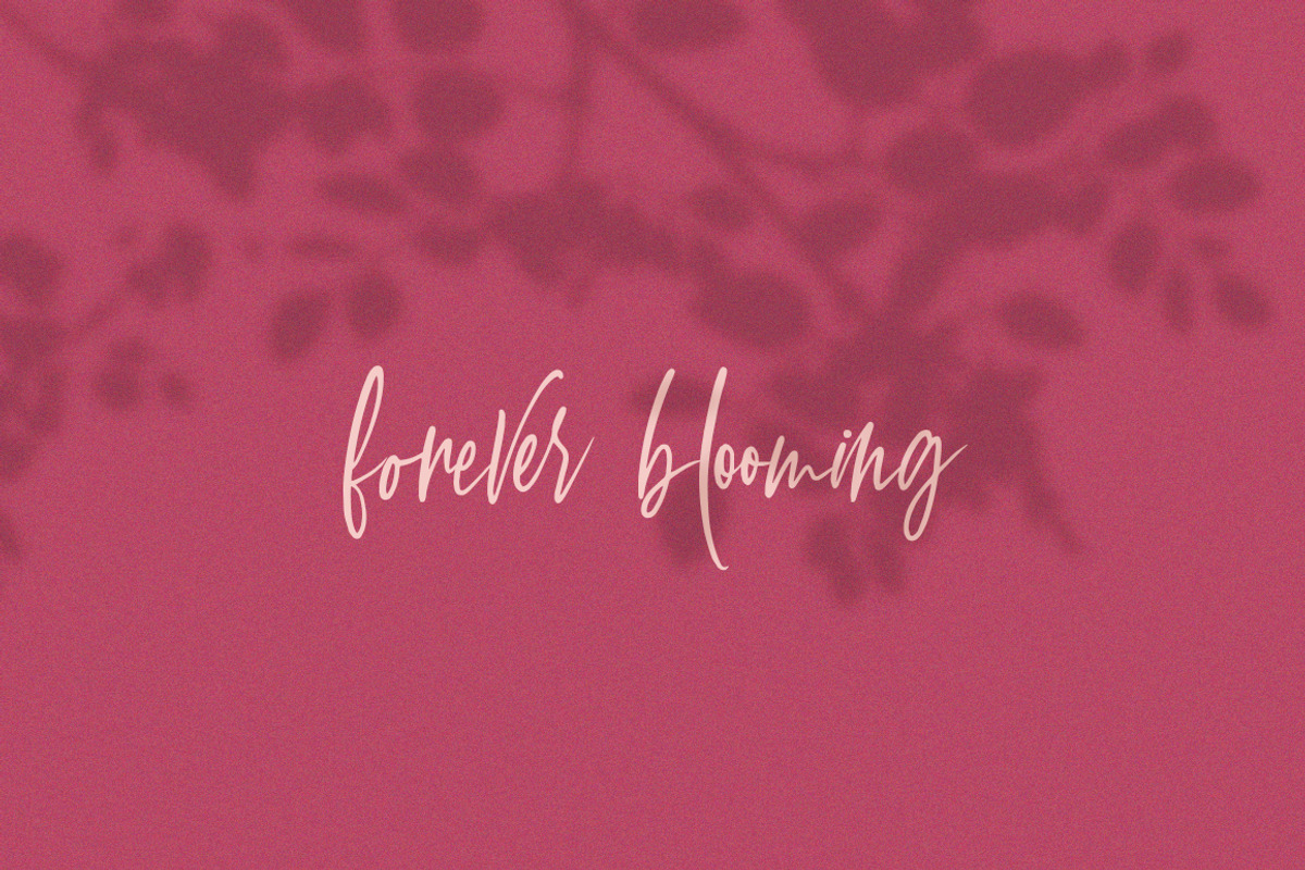 Sullington Script Font preview 6