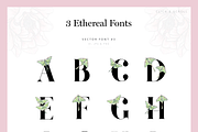 Ethereal Graphic Set & Fonts, an Animal Illustration by Riveros Illustration (Thumbnail 5 of 14)
