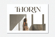 Erigo - Modern Serif Font, a Serif Font by Aqeel_Art (Thumbnail 3 of 10)