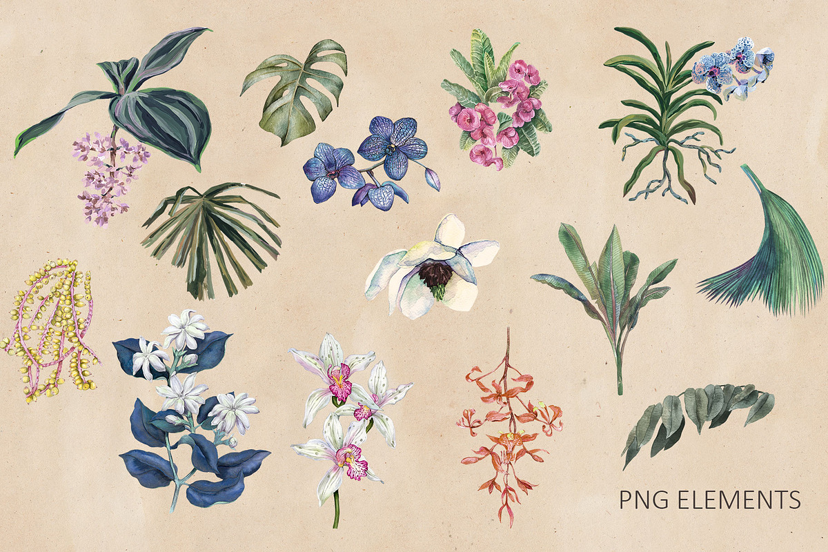 Floria. Tropical pattern, a Pattern Graphic by emeraldthue (Photo 4 of 7)