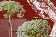 TRANSPARENCY | collage., a Texture Graphic by Purple (Thumbnail 9 of 10)