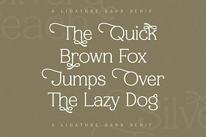 Silvera Peach A Ligature Serif Font