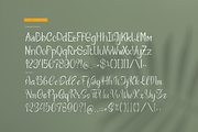 Verdant Botanika | Hand Drawn Script, a Handwritten Font by gracetype_studio (Thumbnail 10 of 12)