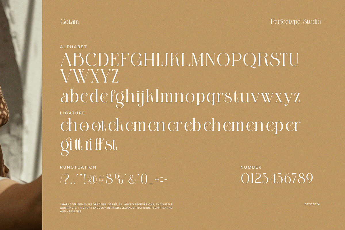 Gotam Elegant Serif Font, a Serif Font by Perfectype (Photo 8 of 8)