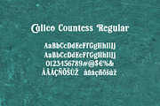 Calico Countess Font, a Serif Font by Aldiwangsadipa (Thumbnail 6 of 12)