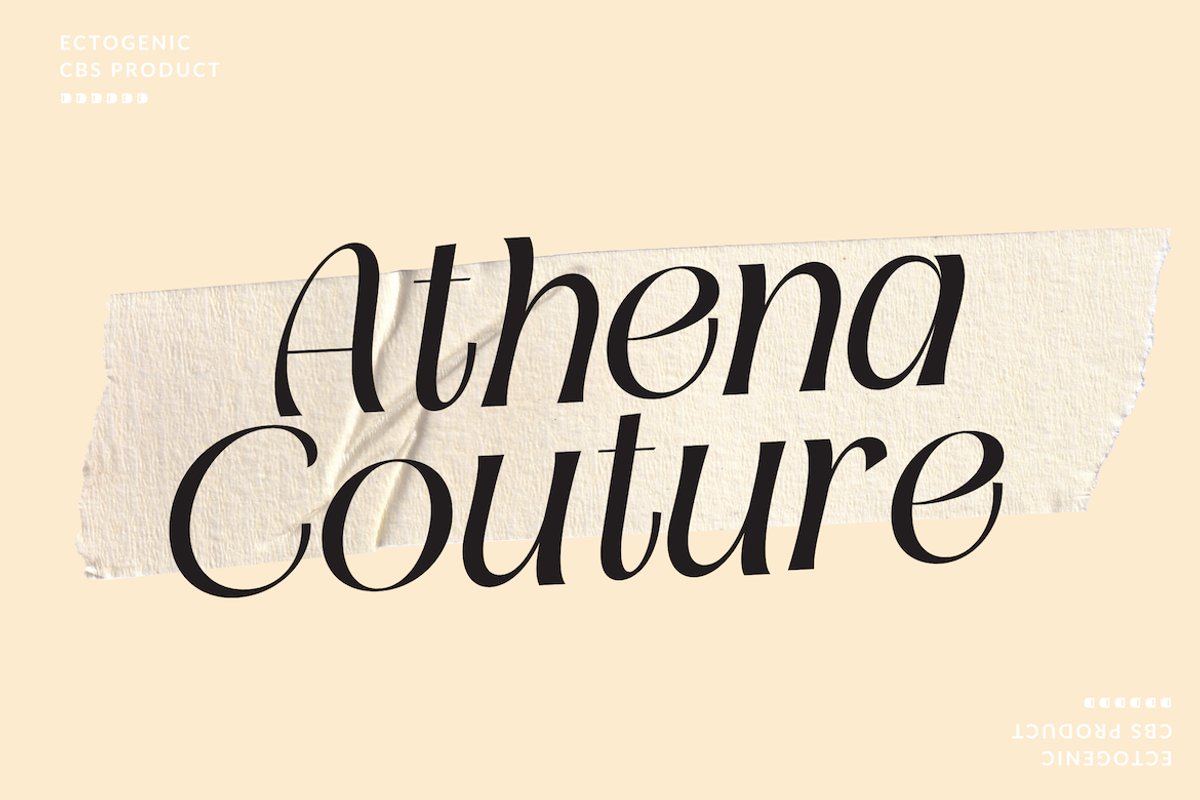 Ectogenic, a Serif Font by CreateBigSupply (Photo 7 of 8)