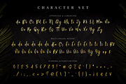 Antiquesta - Brush Signature, a Script Font by Almarkhatype (Thumbnail 9 of 10)
