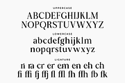 Zafira Serif, a Serif Font by Zafiratype (Thumbnail 13 of 14)