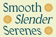 CS Amanda – Elegant Font, a Serif Font by Craft Supply Co. (Thumbnail 2 of 8)