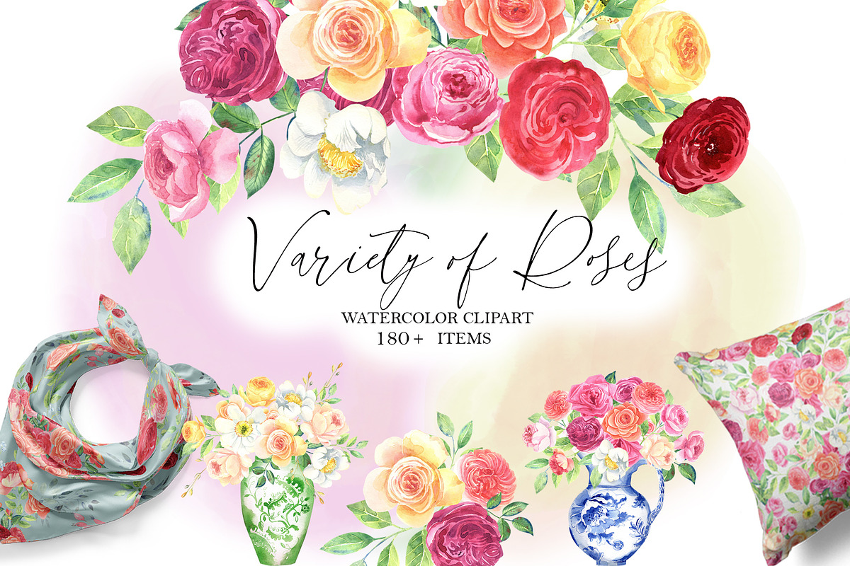 Variety of  Roses, an Illustration by JennyColorArt (Photo 1 of 9)