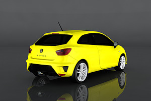 2009 SEAT Ibiza Cupra