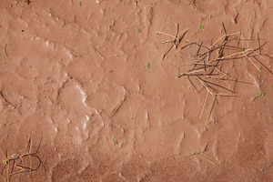 Red Desert Mud Texture