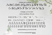 Augusta | Script Font, a Handwritten Font by Scratchones (Thumbnail 7 of 9)