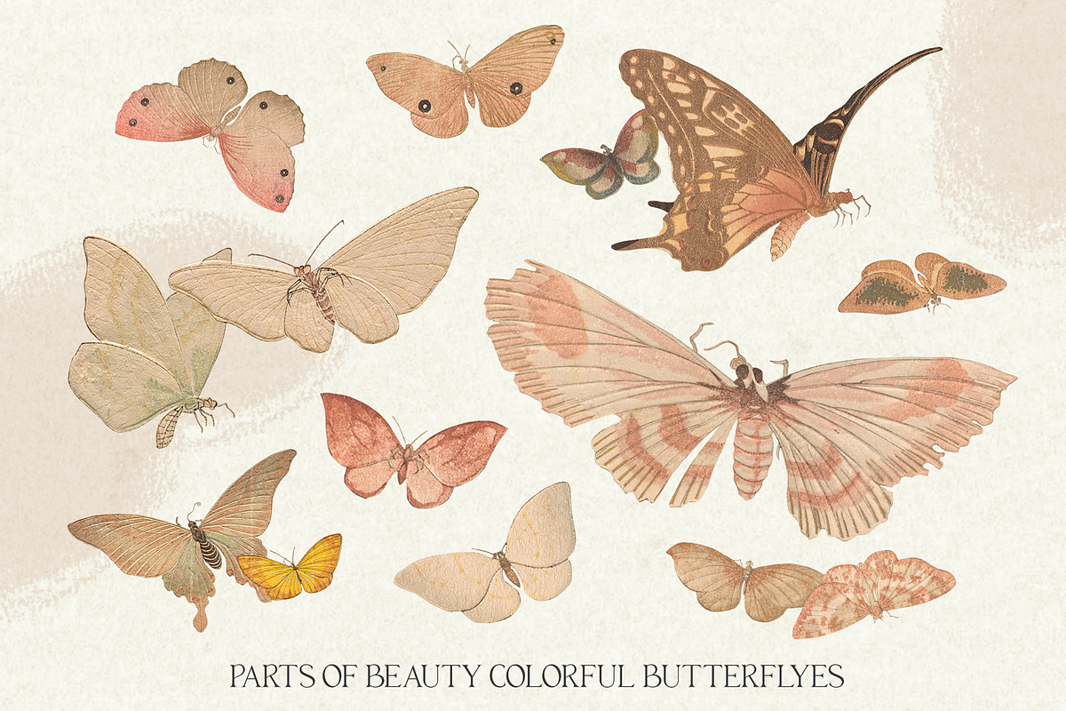 Ikigai Oriental Vintage Design Set, an Object Graphic by Beauty Drops (Photo 7 of 12)