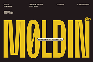 Moldin - Condensed Sans Serif Font, a Sans Serif Font by Zarma Type