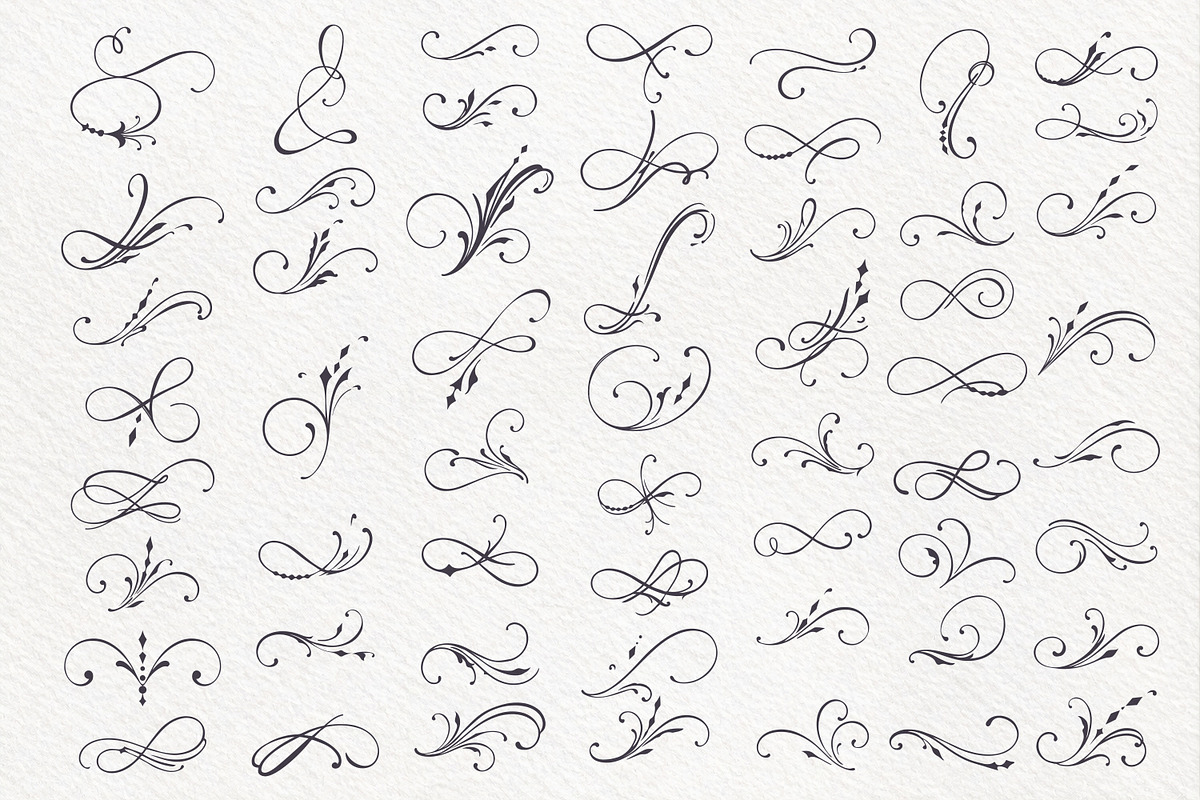 Vector Fleur de Lis & Flourishes, an Object Illustration by FleurArt (Photo 8 of 17)