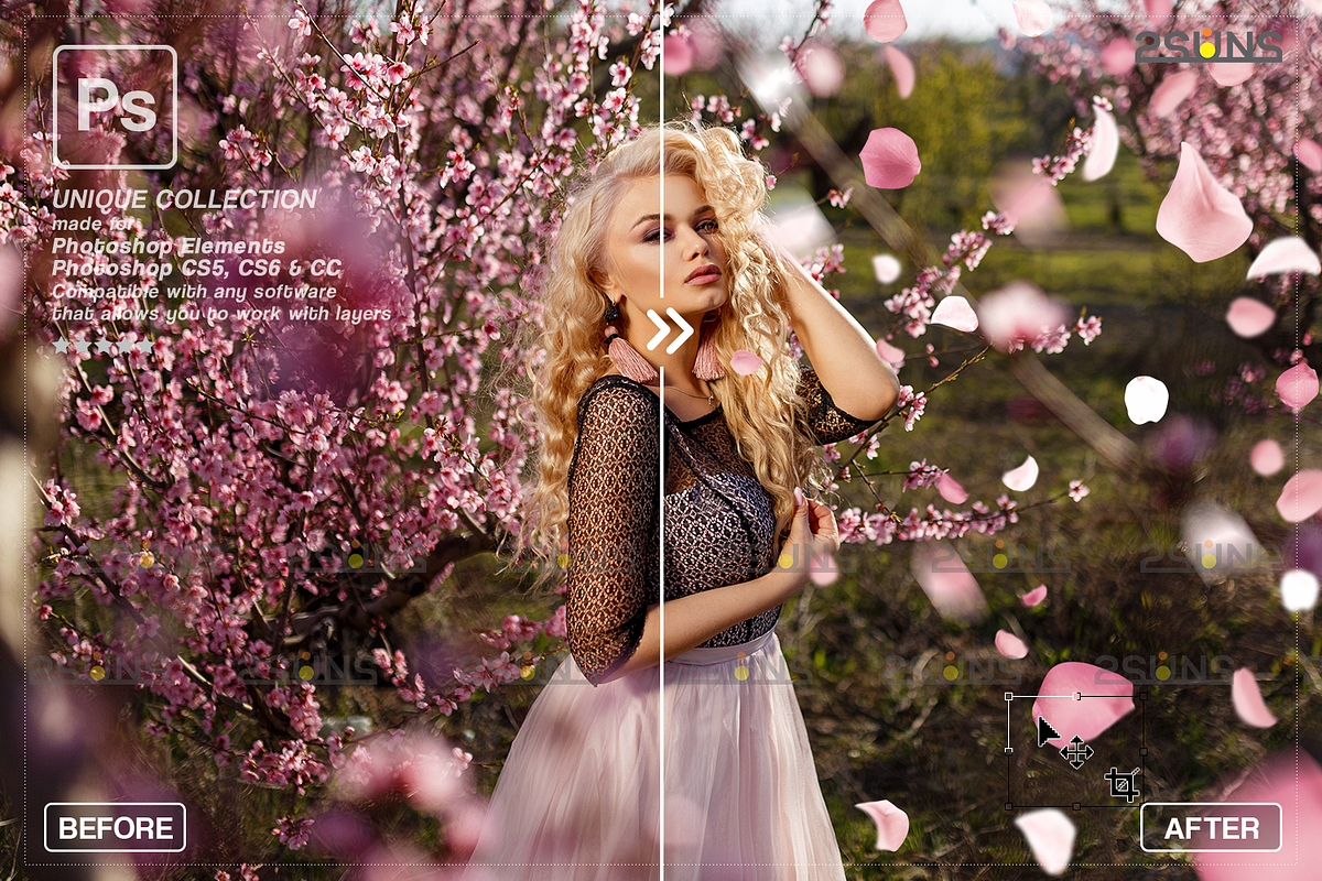 PINK Rose Petals photo overlays, an Object Graphic by 2SUNS (Photo 4 of 9)