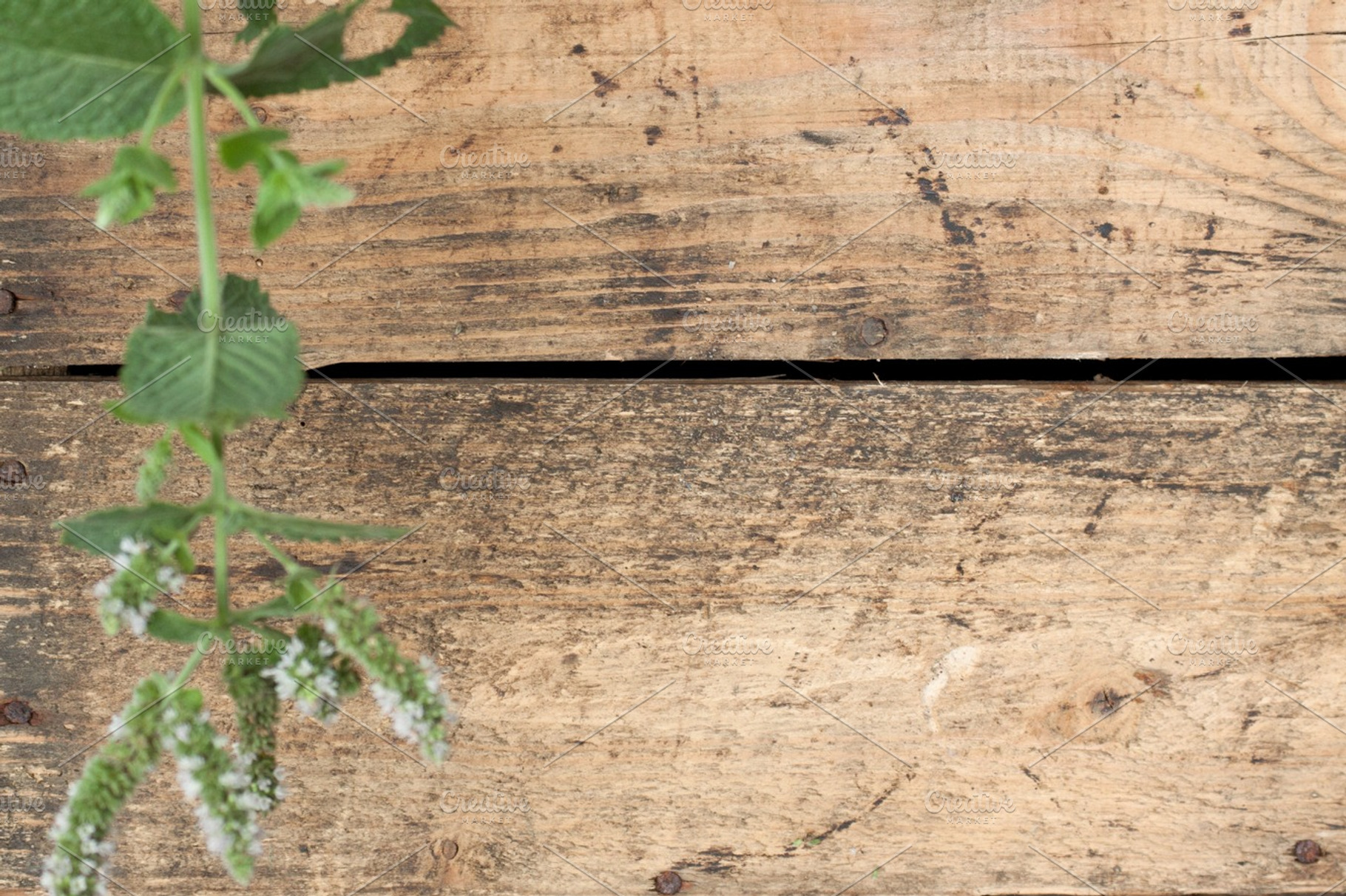 Wood Texture Part 2 V
