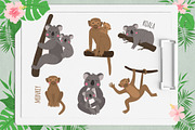 Vector Exotic Animals Collection, an Animal Illustration by MalniArt (Thumbnail 5 of 12)
