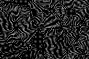 20 Vector Fields Backgrounds, a Texture Graphic by GarryKillian (Thumbnail 15 of 21)