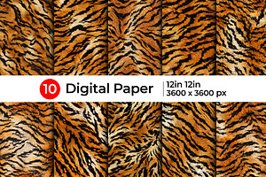 Realistic Tiger Fur Print Texture