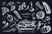 Vegetables. Hand drawn collection., a Food Illustration by natadanko (Thumbnail 6 of 7)