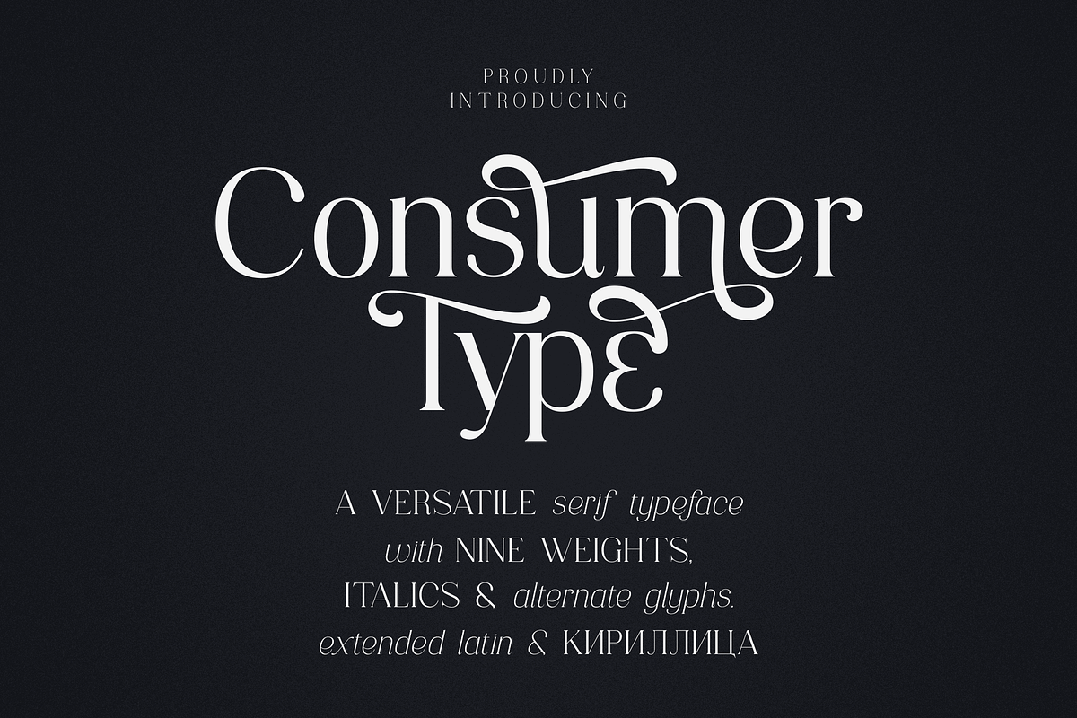Consumer Type - elegant font family, a Serif Font by VP Fonts (Photo 1 of 18)