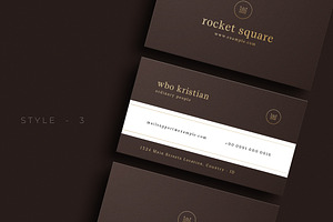 Professional Business Card - V.79