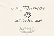 Painted Poetry — Hand Drawn Graphics, a Decorative Illustration by Madeline ODonoghue Design (Thumbnail 11 of 12)