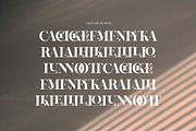 Kalins Elegant Ligature Serif Font, a Serif Font by Graphicxell (Thumbnail 8 of 8)