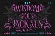 Alpha Spike Typeface, a Serif Font by alit design (Thumbnail 7 of 17)