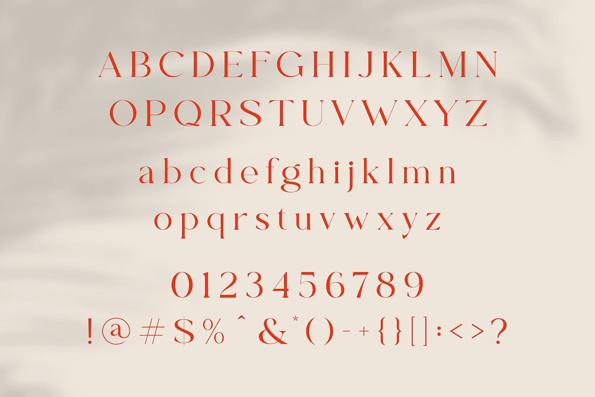 Caughe - Modern Elegant Serif, a Serif Font by Typeformers (Photo 5 of 5)