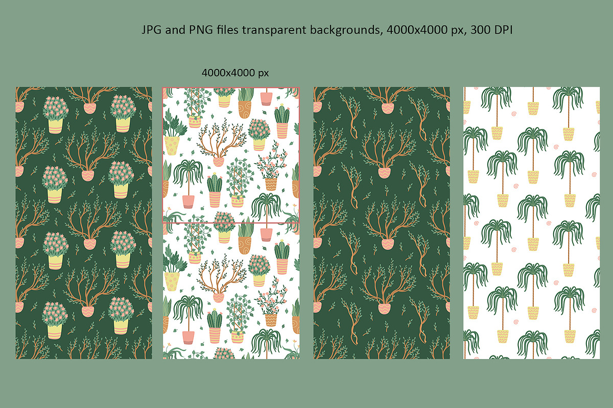 Cats and Plants Clipart and Patterns, an Animal Illustration by Anna Druzhkova (Photo 10 of 23)