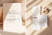 Gypsophila - watercolor flowers, an Object Illustration by ollalya (Thumbnail 7 of 8)