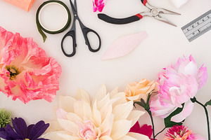 Making paper flowers featuring echinacea, rose, and peony