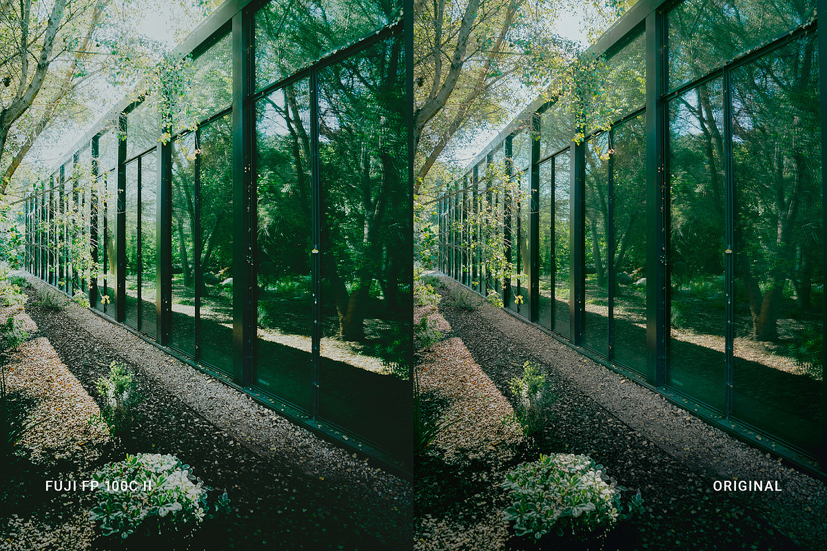 Fuji FP 100C II, a Preset Add-On by colorituals (Photo 6 of 8)