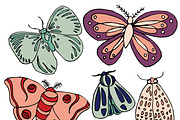 Insects, an Illustration by Valeri Nick (Thumbnail 4 of 5)