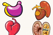 Vector Human Anatomy Clipart, a Person Illustration by Design Scotch (Thumbnail 7 of 9)