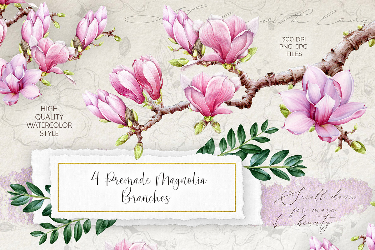 Pink Magnolia Watercolor Collection, a Decorative Illustration by AnitaPol (Photo 4 of 14)