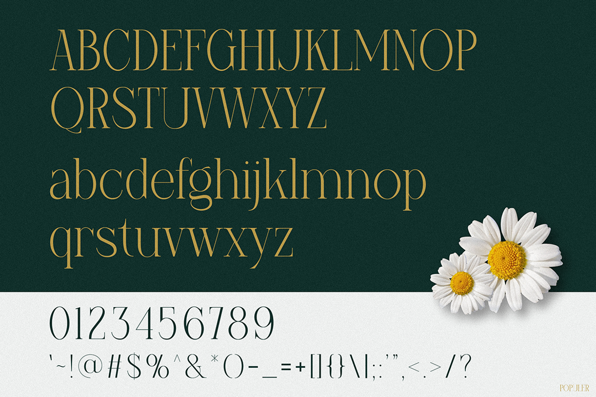 Populer, a Serif Font by Pinisi ART (Photo 2 of 10)