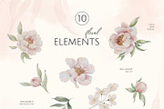 ROMANTIC PEONIES watercolor set, a Decorative Illustration by Yuliia Lashevska (Thumbnail 11 of 14)