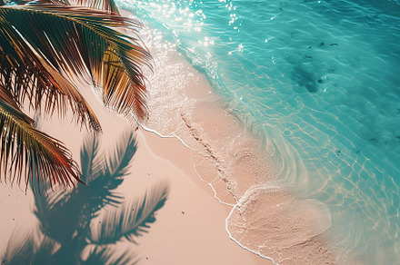 Tropical beach with coconut palm tree and ocean, a Nature Photo by AlyaAnd