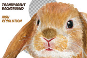 Watercolor Realistic Rabbits clipart, an Animal Illustration by ArtfulStudio (Thumbnail 8 of 8)