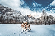 HDR Reactor Panel 2.0, a Plug-in Add-On by Pro Add-Ons (Thumbnail 30 of 41)