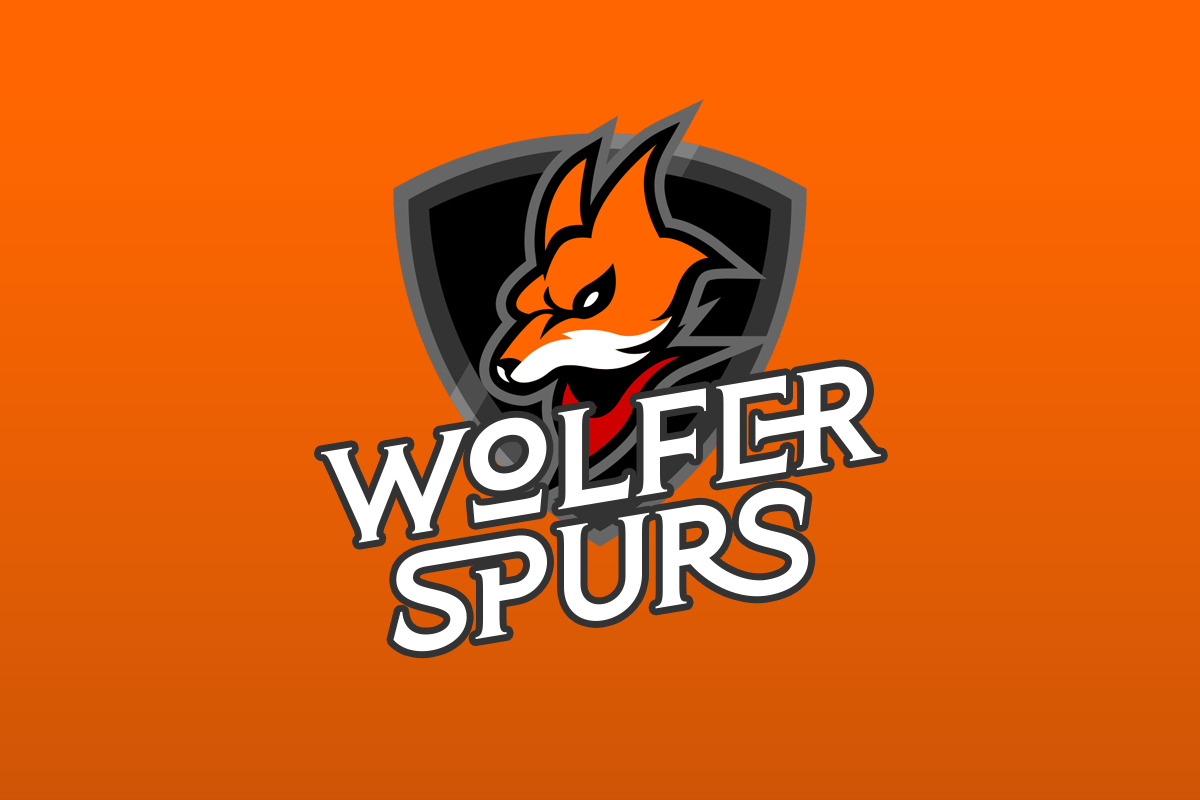 Planet Gamers - Ligature Logo Serif, a Serif Font by Sarid Ezra (Photo 2 of 7)